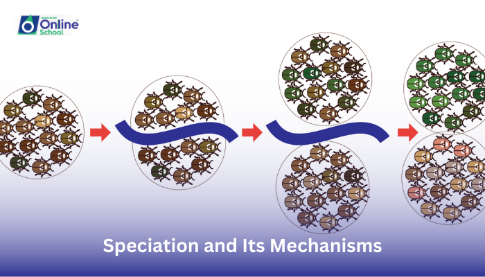 Lesson 12: Explanation of the Concept of Speciation and Its Mechanisms
